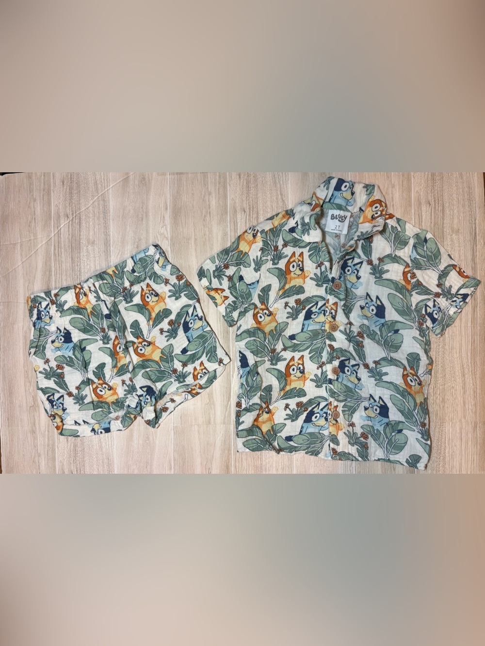 Bluey Kids Shirt & Shorts Tropical Theme 2T